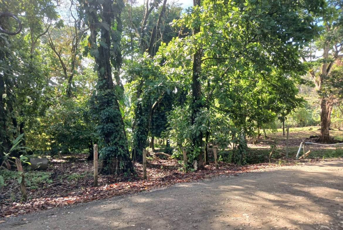 114bd38a-b794-4b54-9dd7-daa0ad9d3235-min