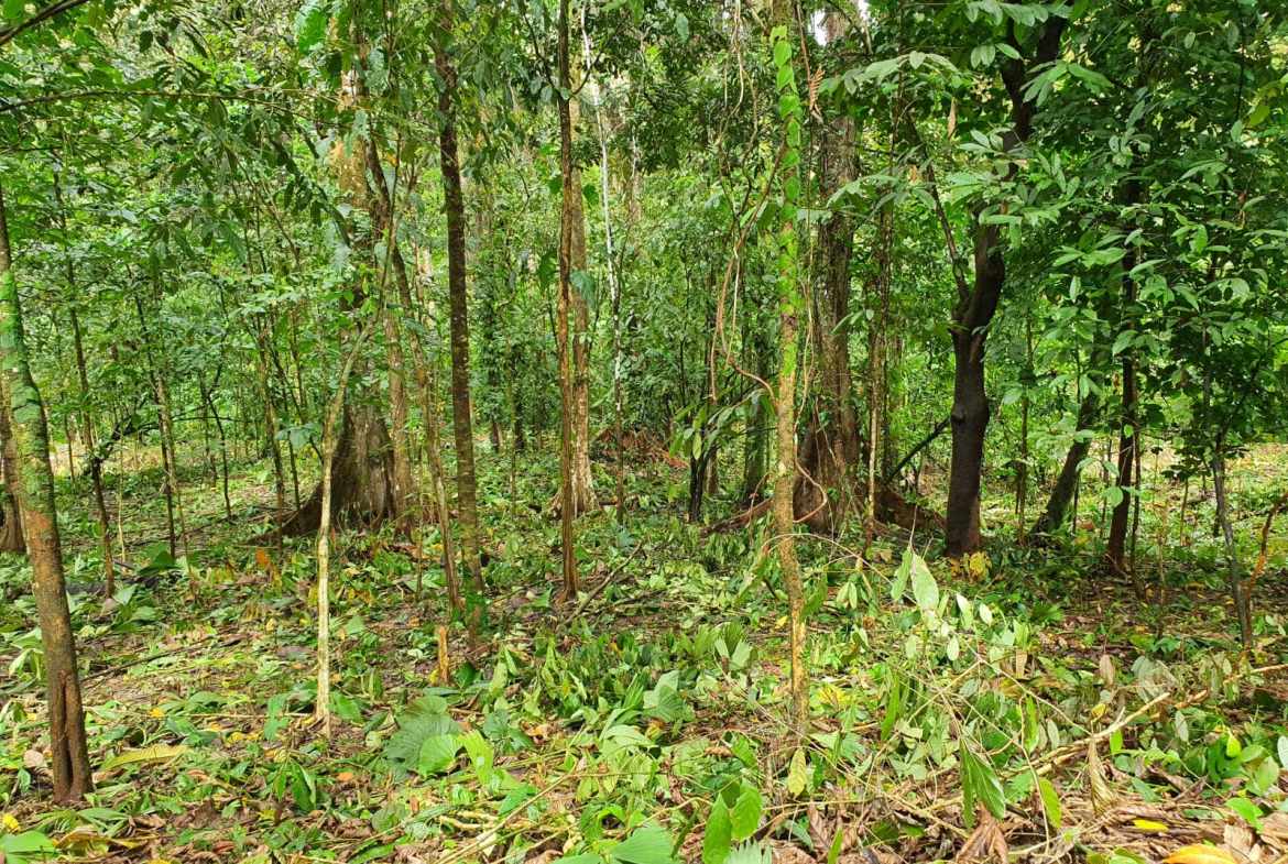 12e3ce60-27a9-4d1e-b88d-d0a3db43fa57-min