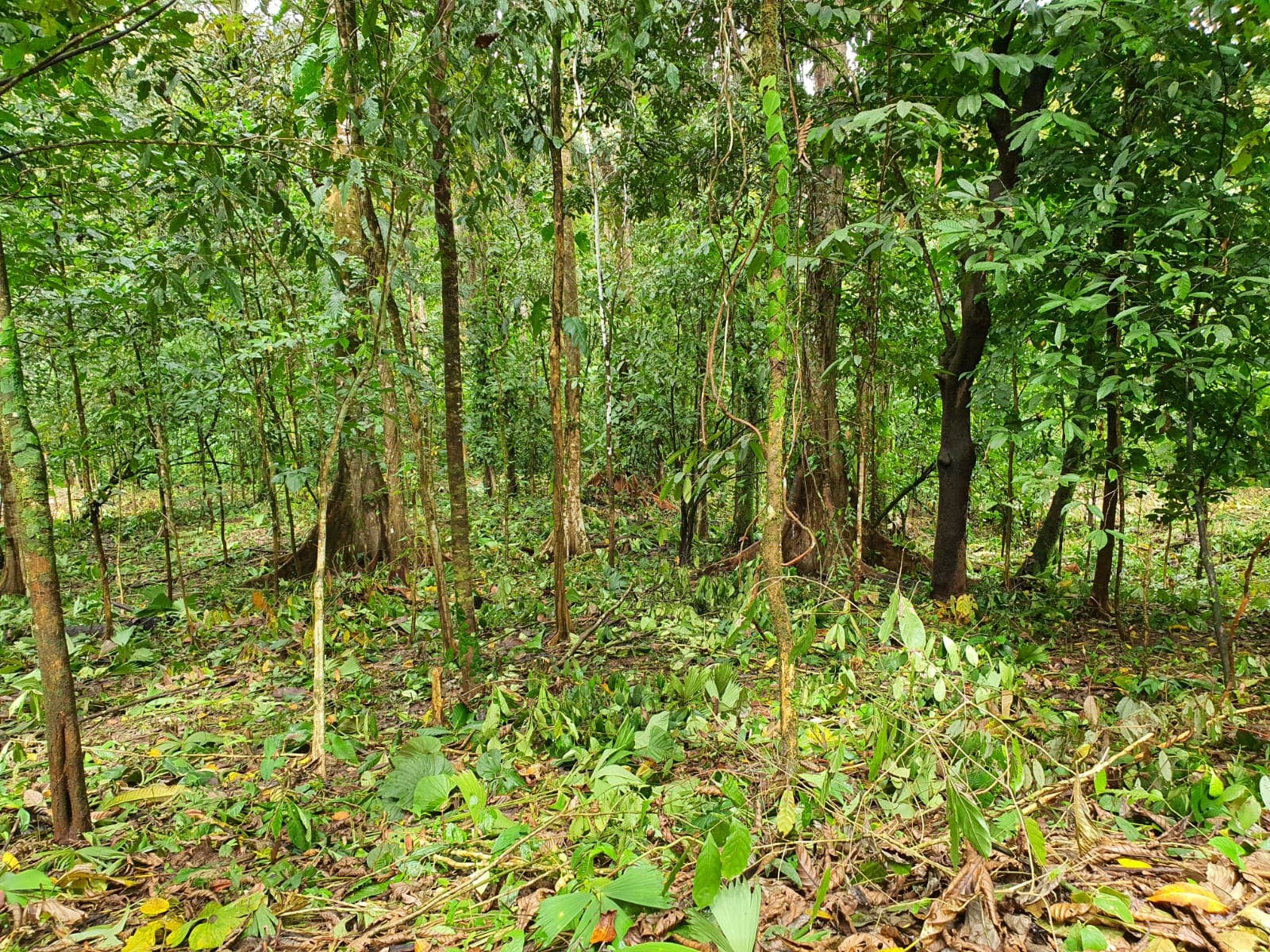 12e3ce60-27a9-4d1e-b88d-d0a3db43fa57-min