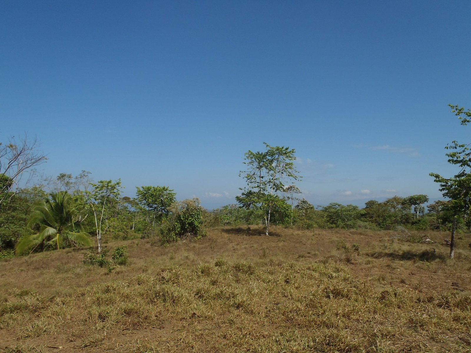 2017-03-01 23.29.44-min