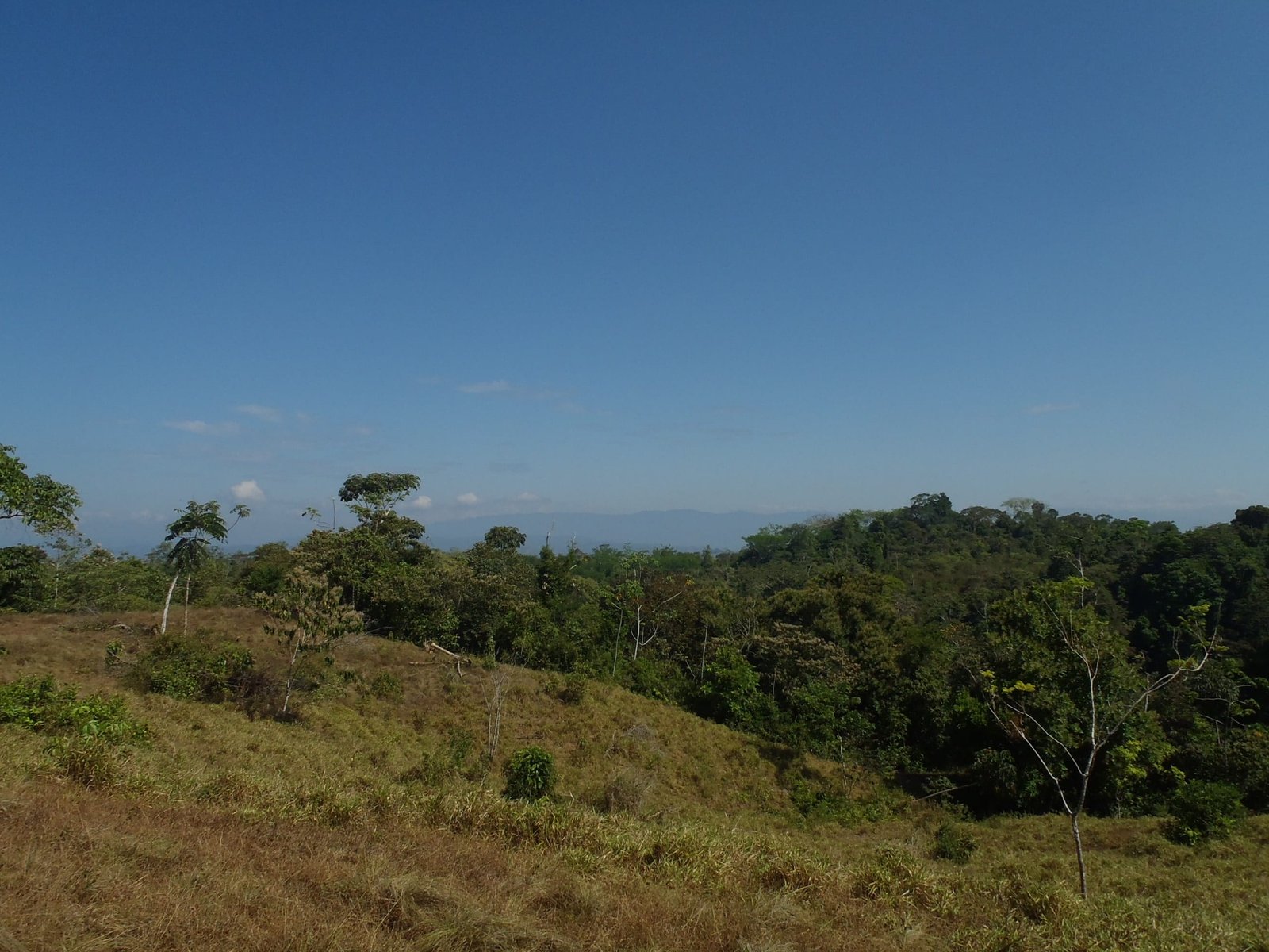 2017-03-01 23.30.57-min