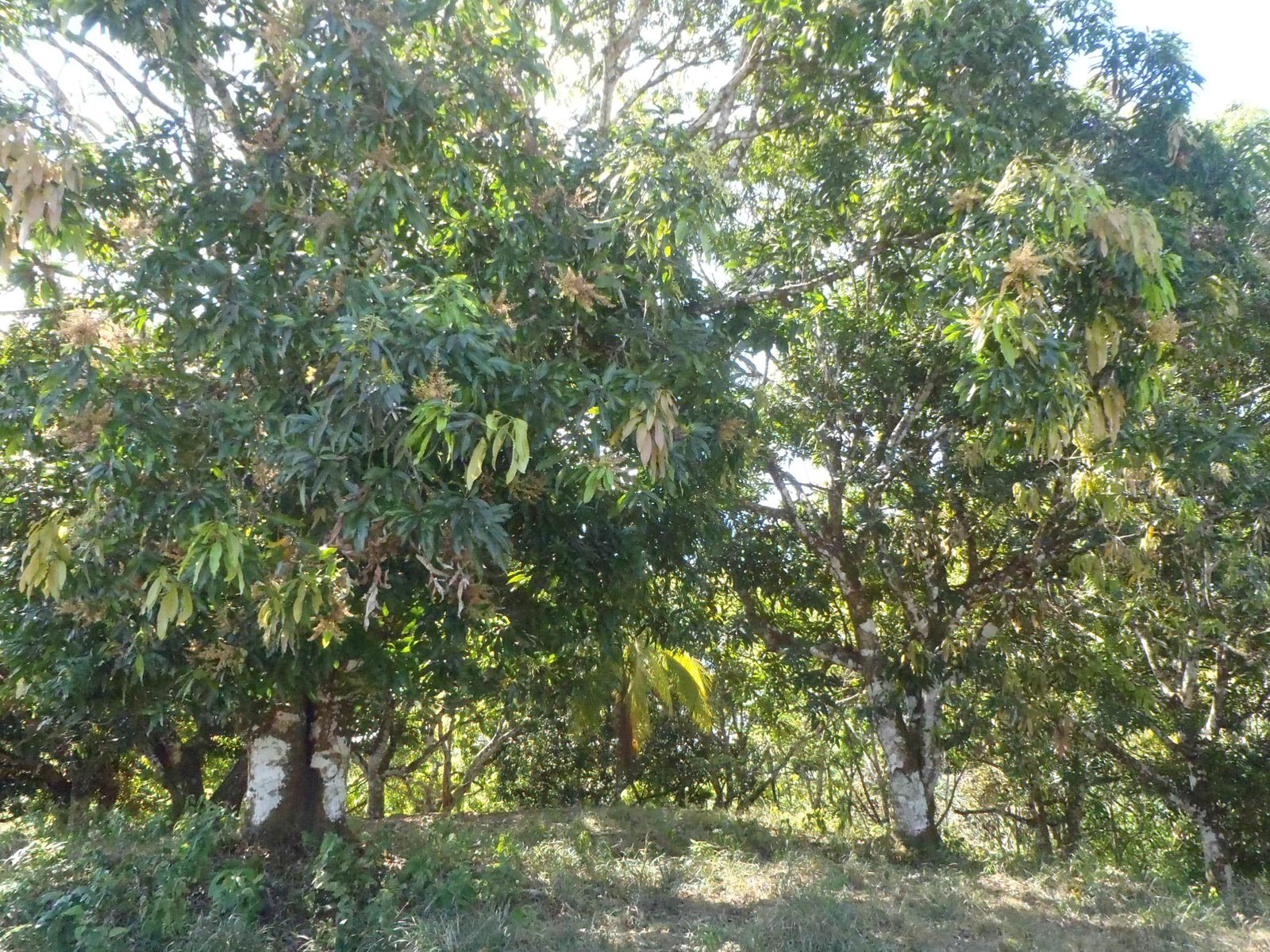 2017-03-01 23.31.08-min