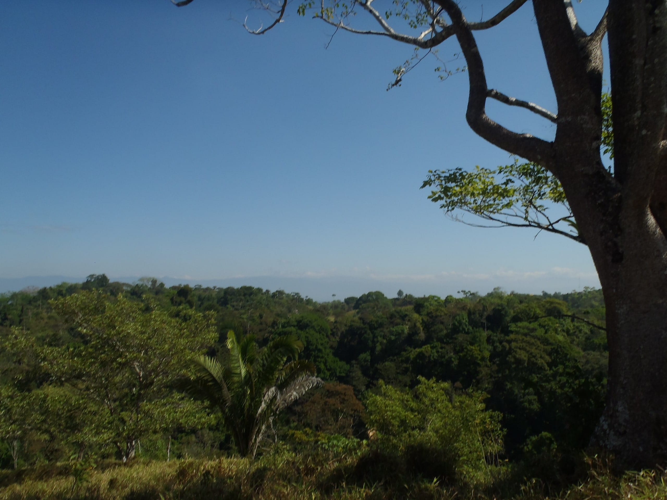 2017-03-01 23.36.26-min