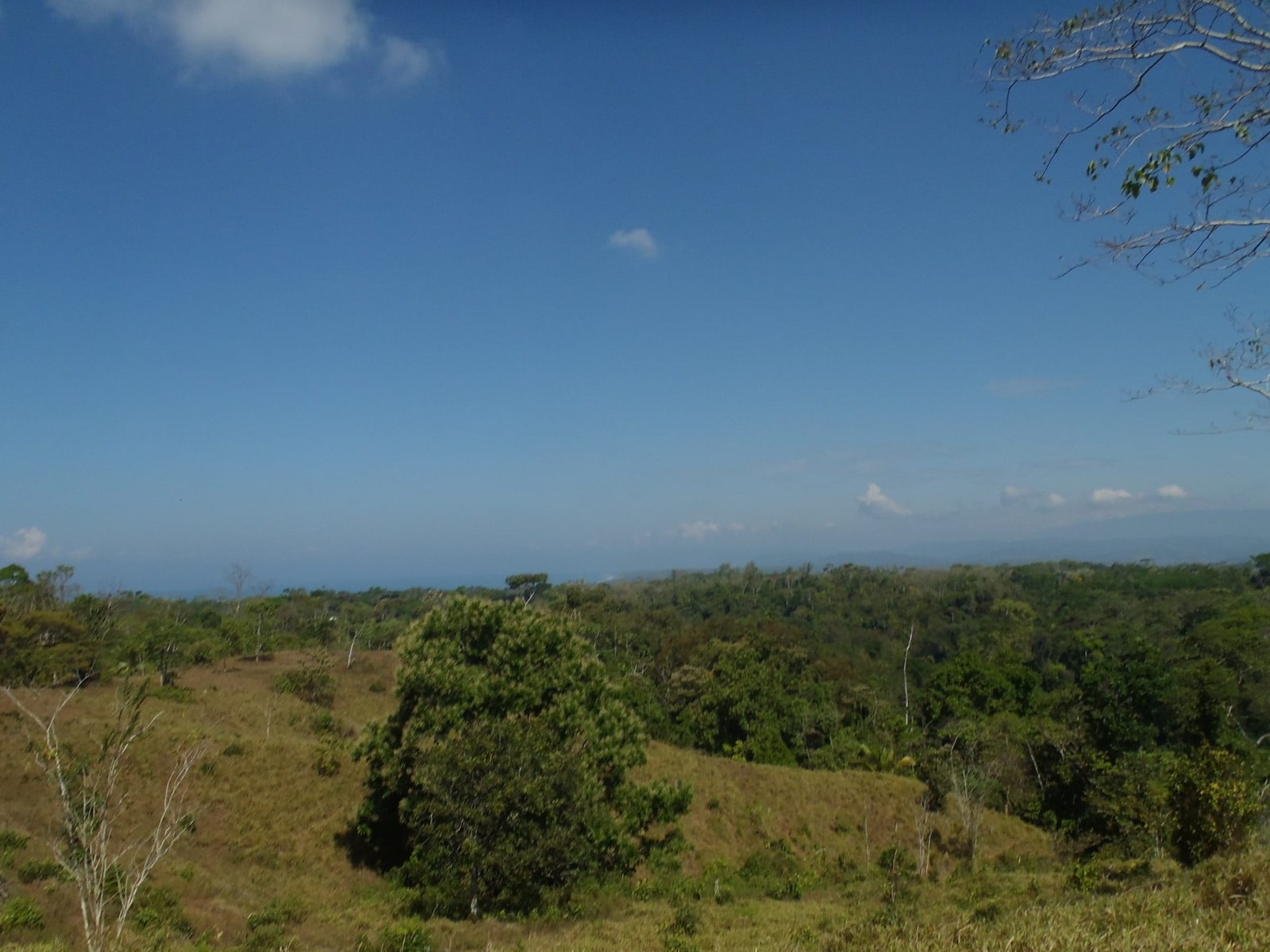 2017-03-01 23.37.42-min