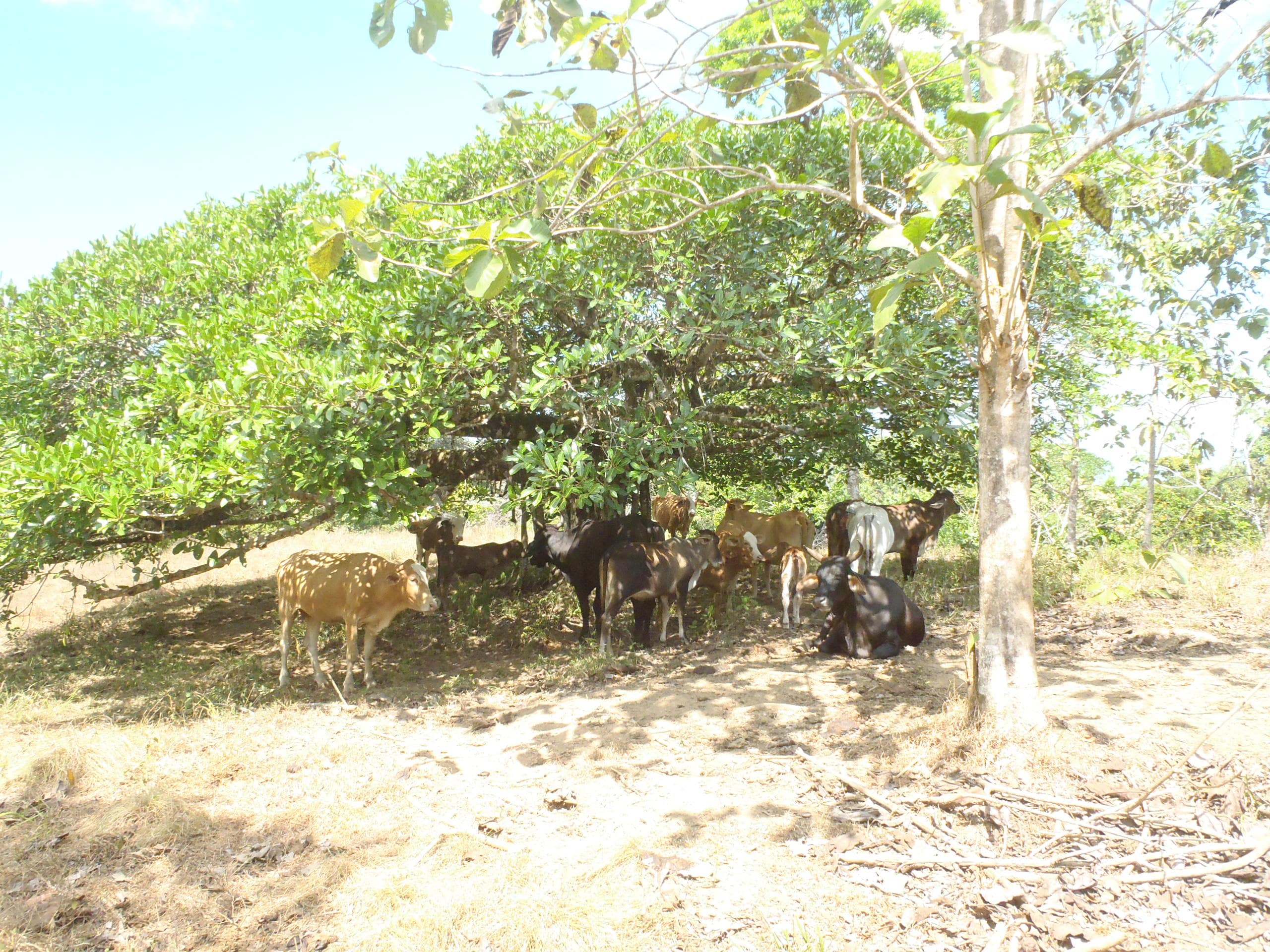 2017-03-02 00.04.04-min