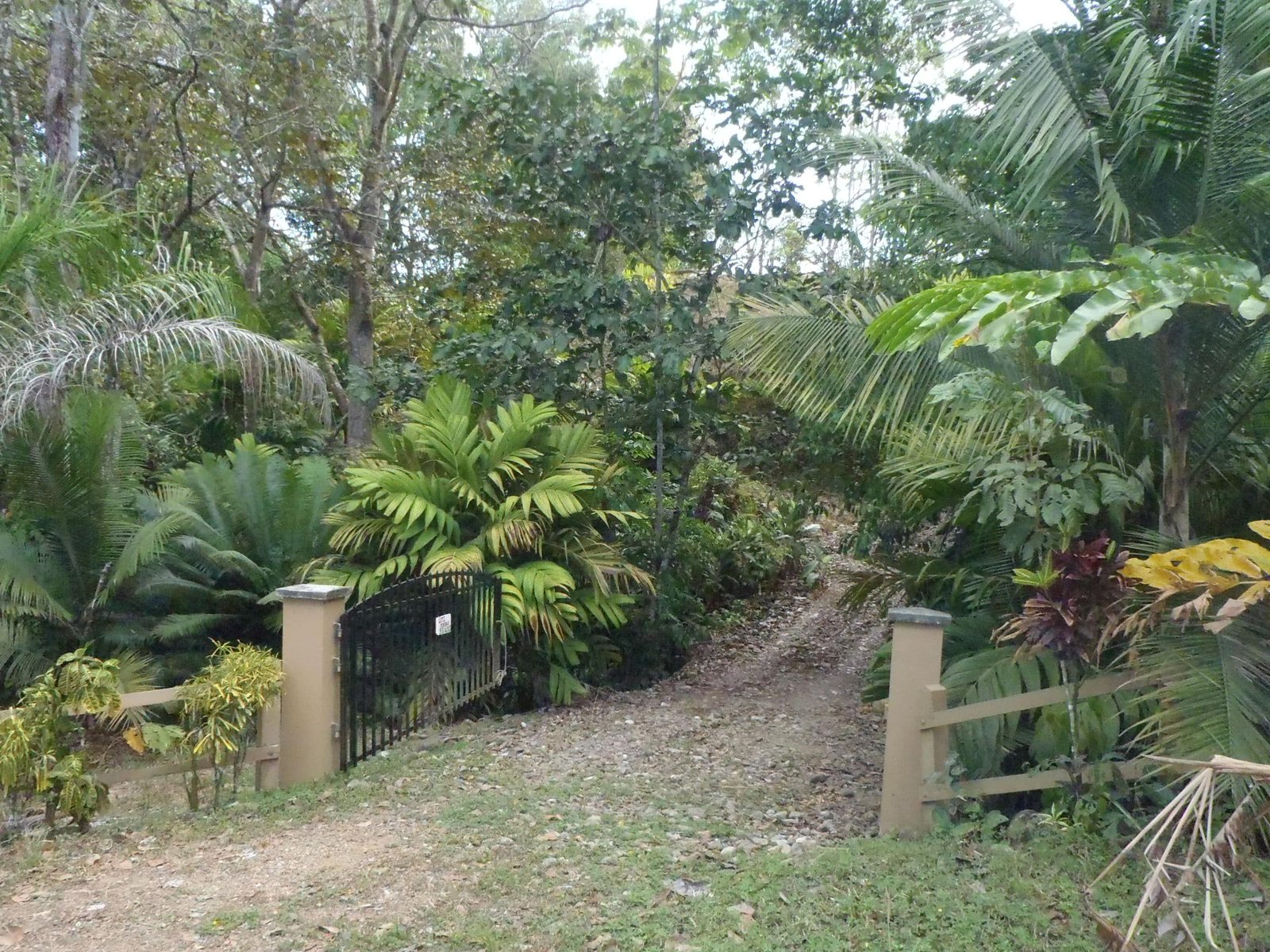 2017-03-02 00.20.38-min