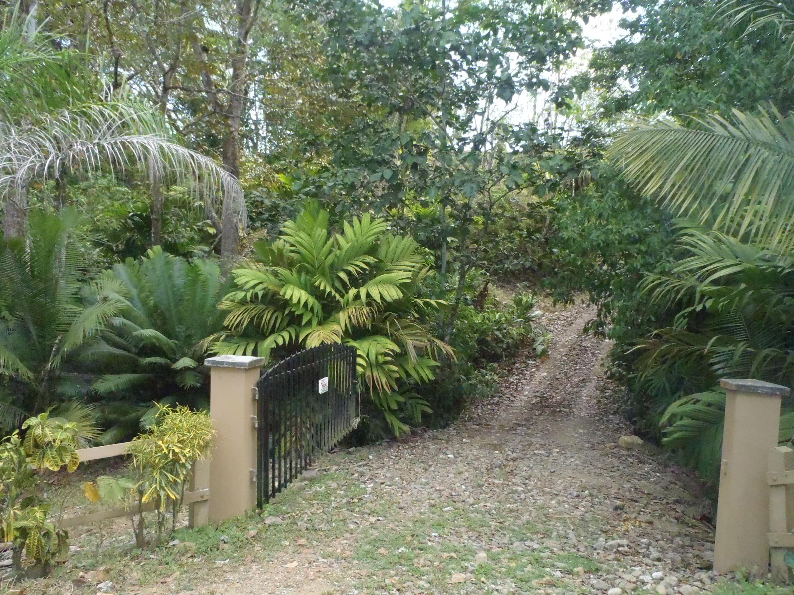 2017-03-02 00.21.20-min