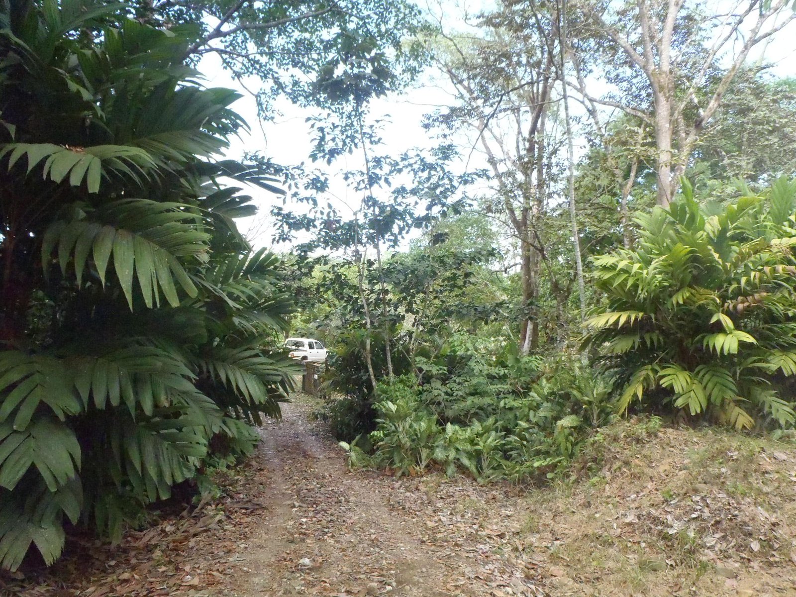 2017-03-02 00.21.52-min