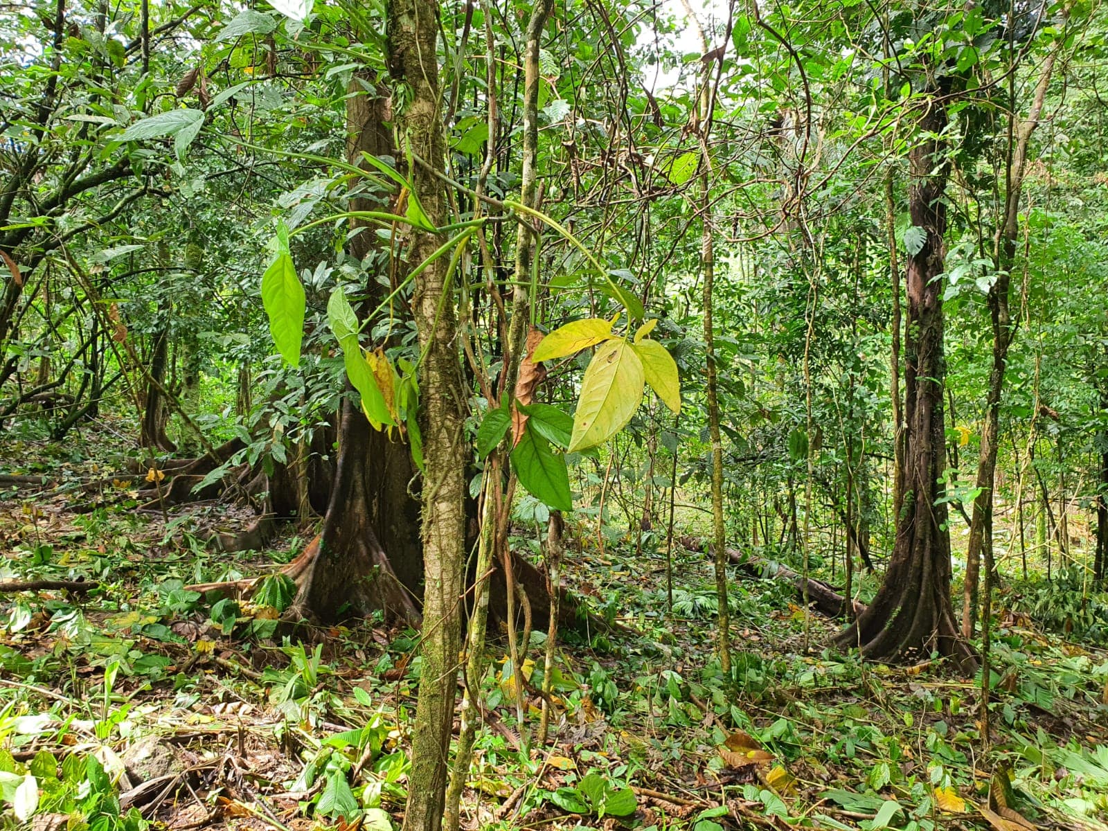 38dc31b8-5123-4d6e-8eed-74dbcdeed713-min