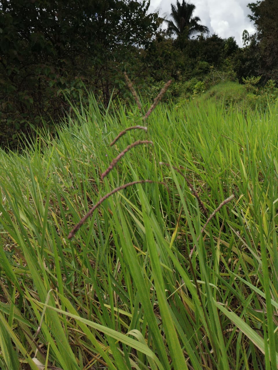 7fb3ea07-eb0c-432d-a683-d9ce75080b7f-min