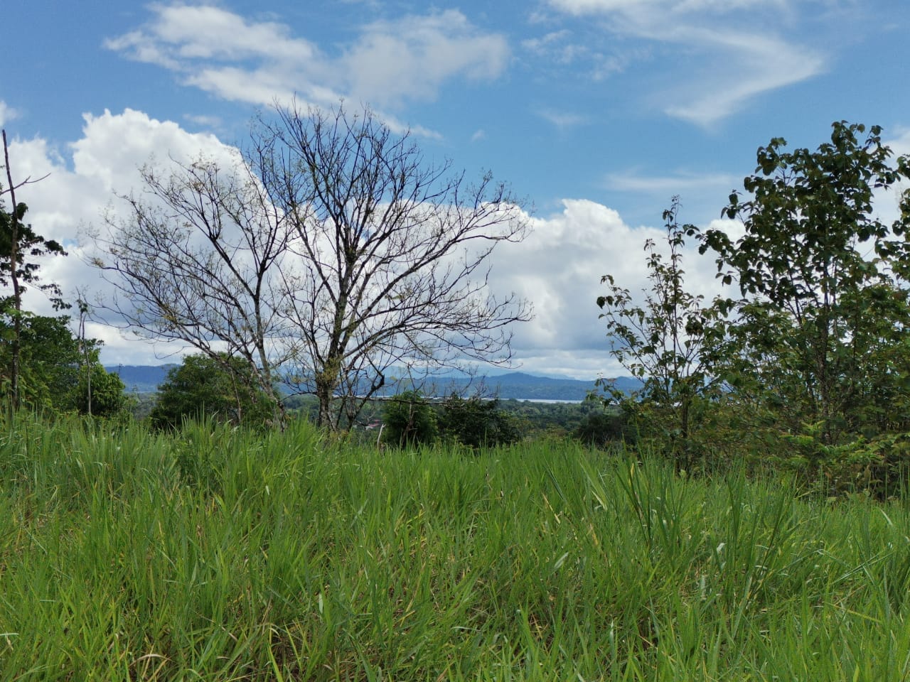 84d32382-aa58-4942-8e6d-0a7146012cc6-min