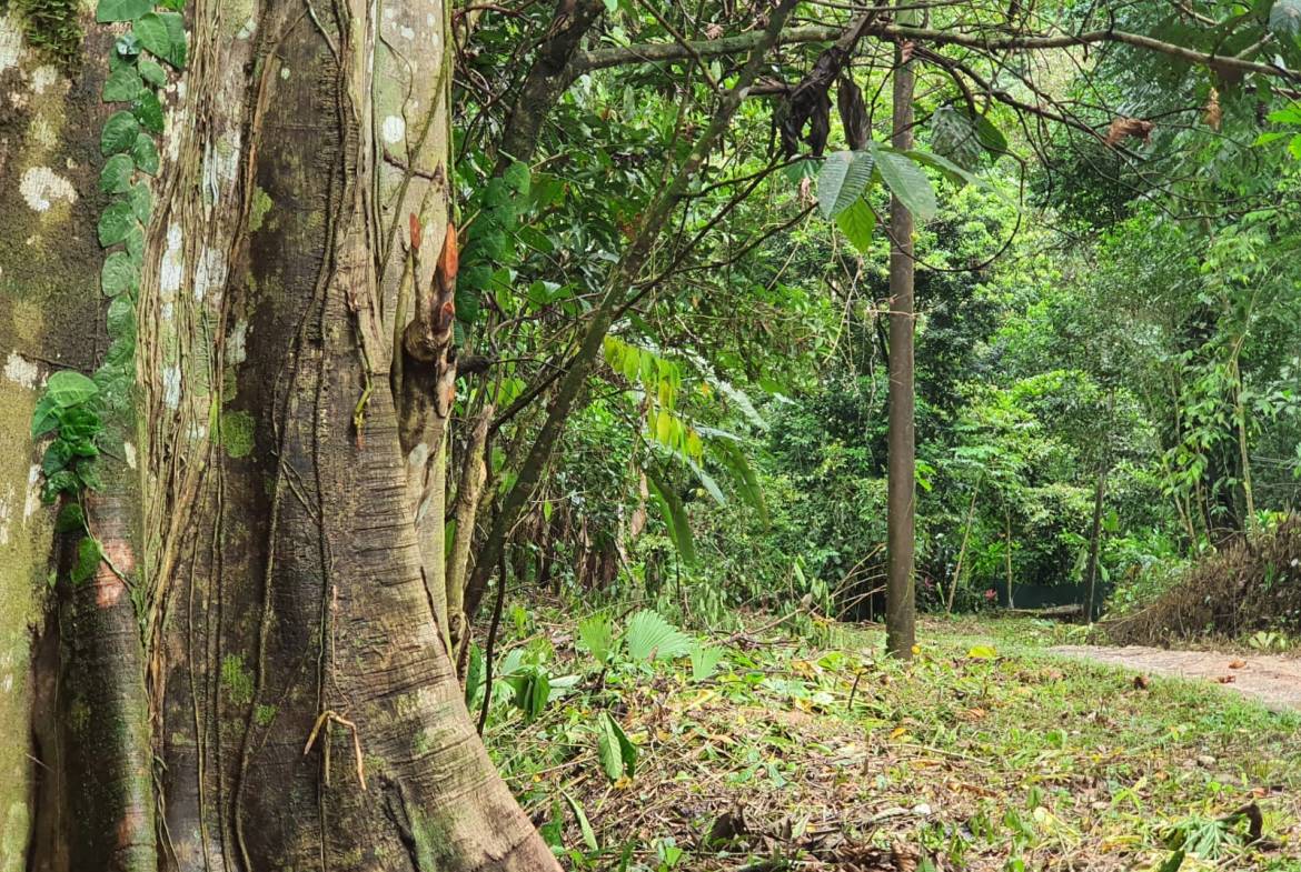 91198629-0d18-41d0-9a64-2f4e1345e3cd-min