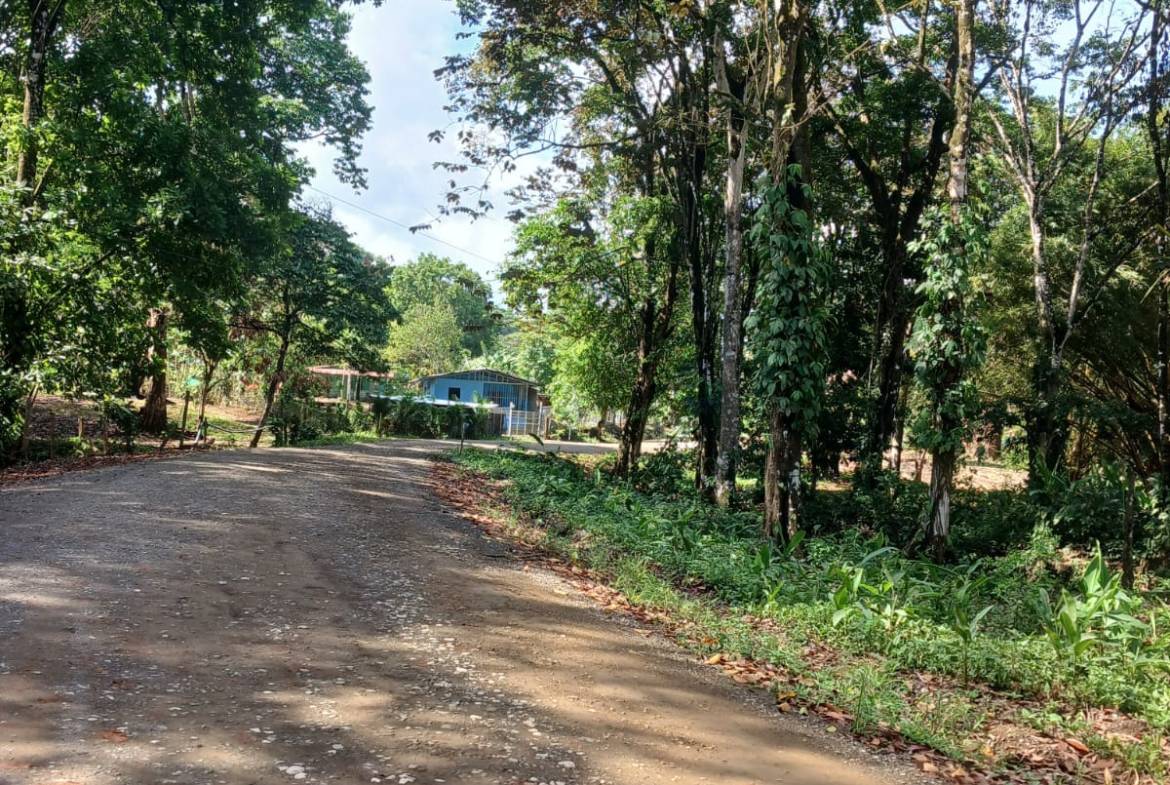 9920e280-b169-4c9e-aa45-19bbed32c24b-min