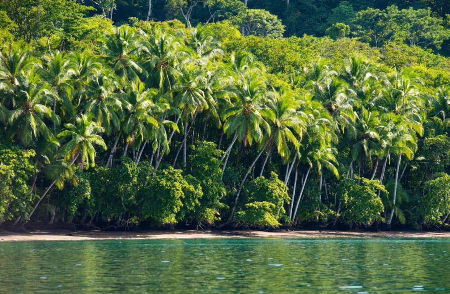 Boutique Hotel for Sale