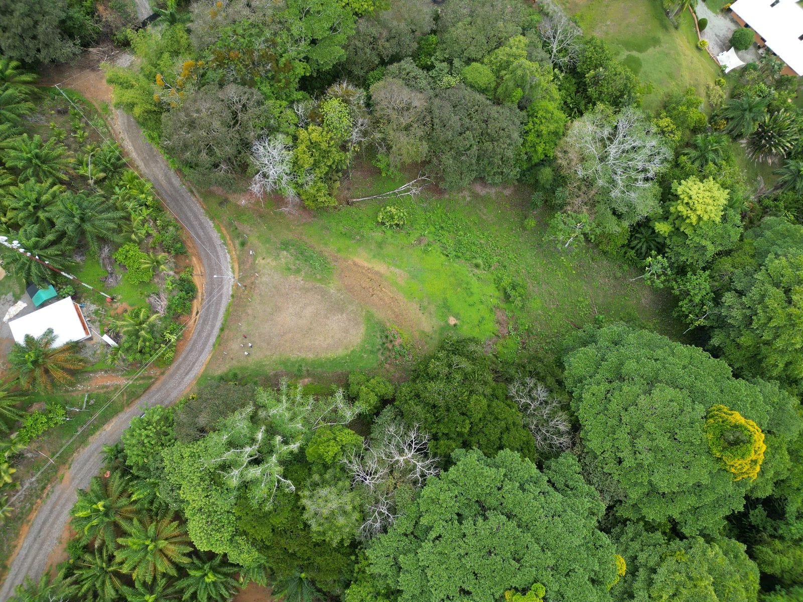 WhatsApp Image 2024-05-15 at 12.24.04-min