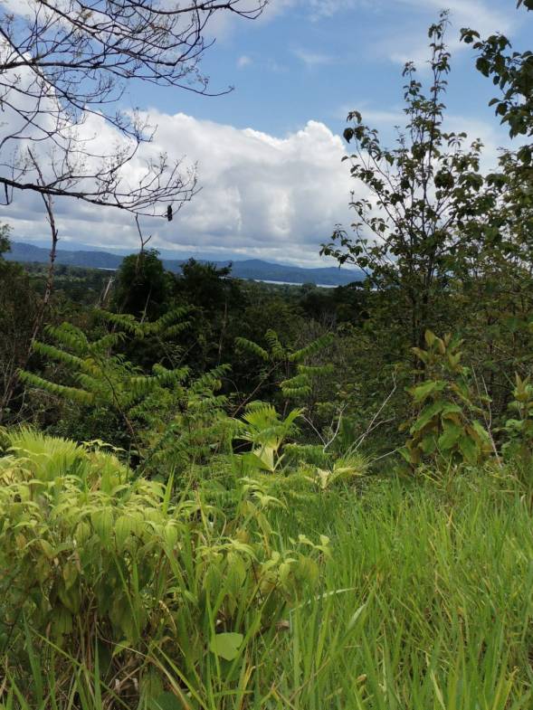 a290a266-5d19-45fa-a242-75ec954218bb-min