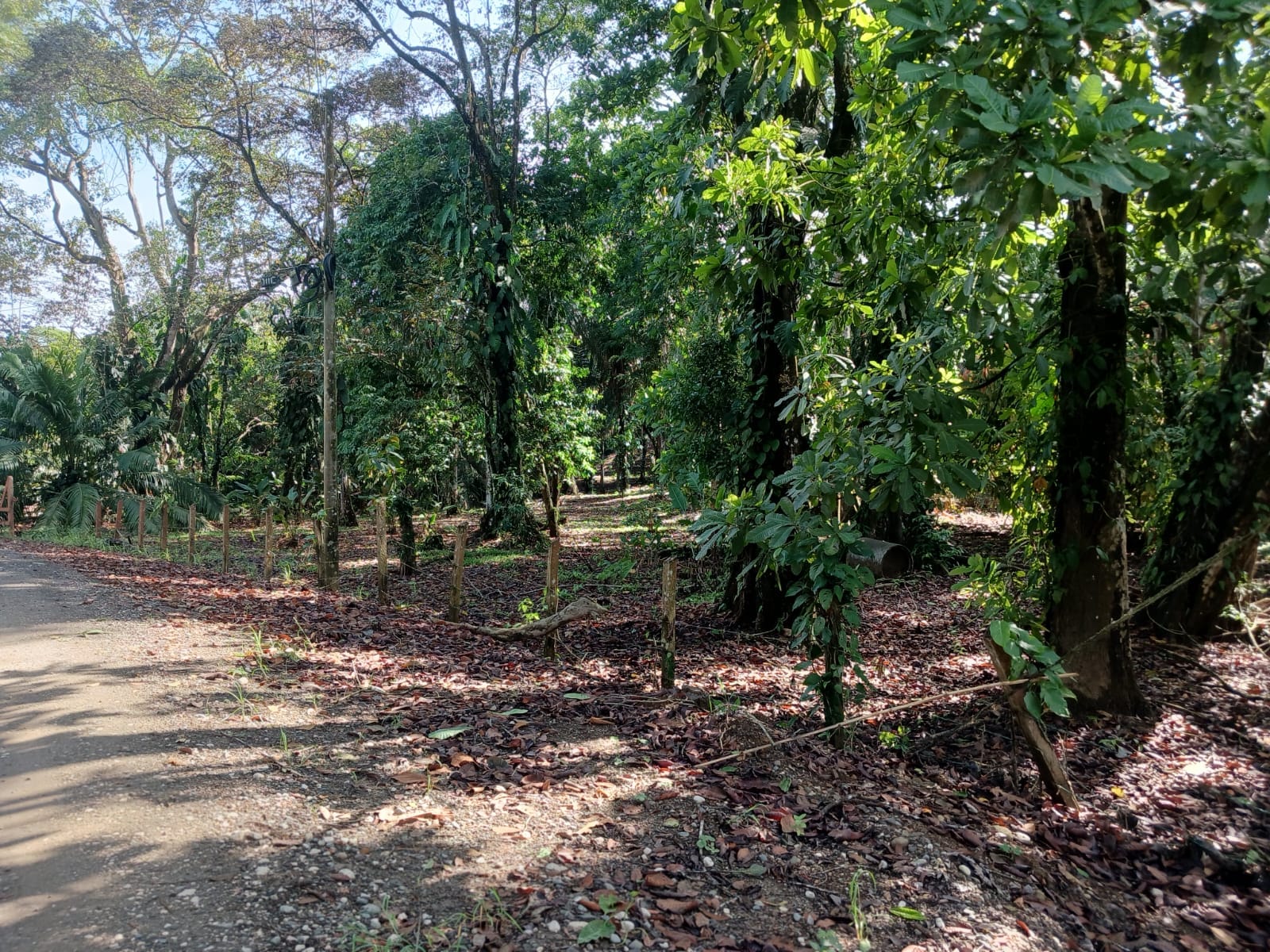 ad101fb6-0578-492c-9520-ff2f40a5a6a9-min