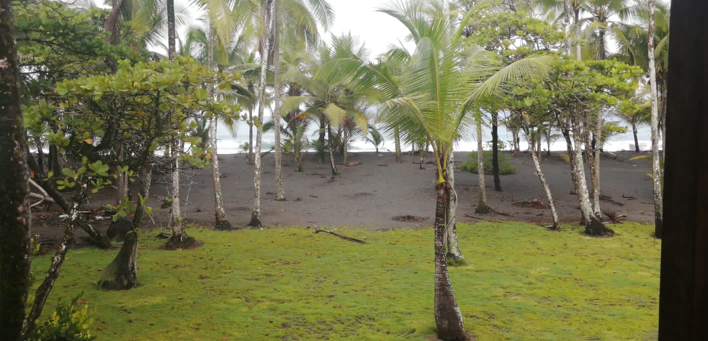 b8ae7b55-87d4-443c-a9b5-e78f9ac12297-min