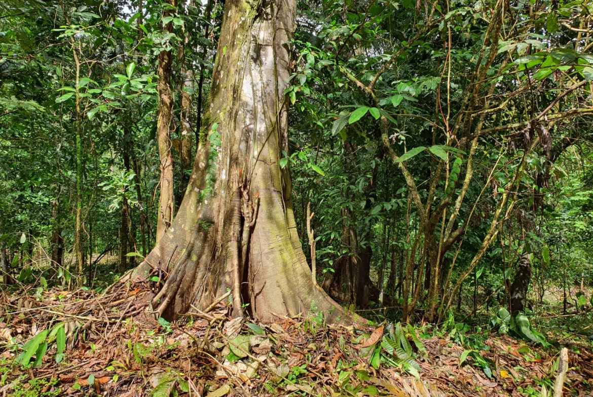 bd7596de-4e93-4743-8f06-324a2bf7627a-min