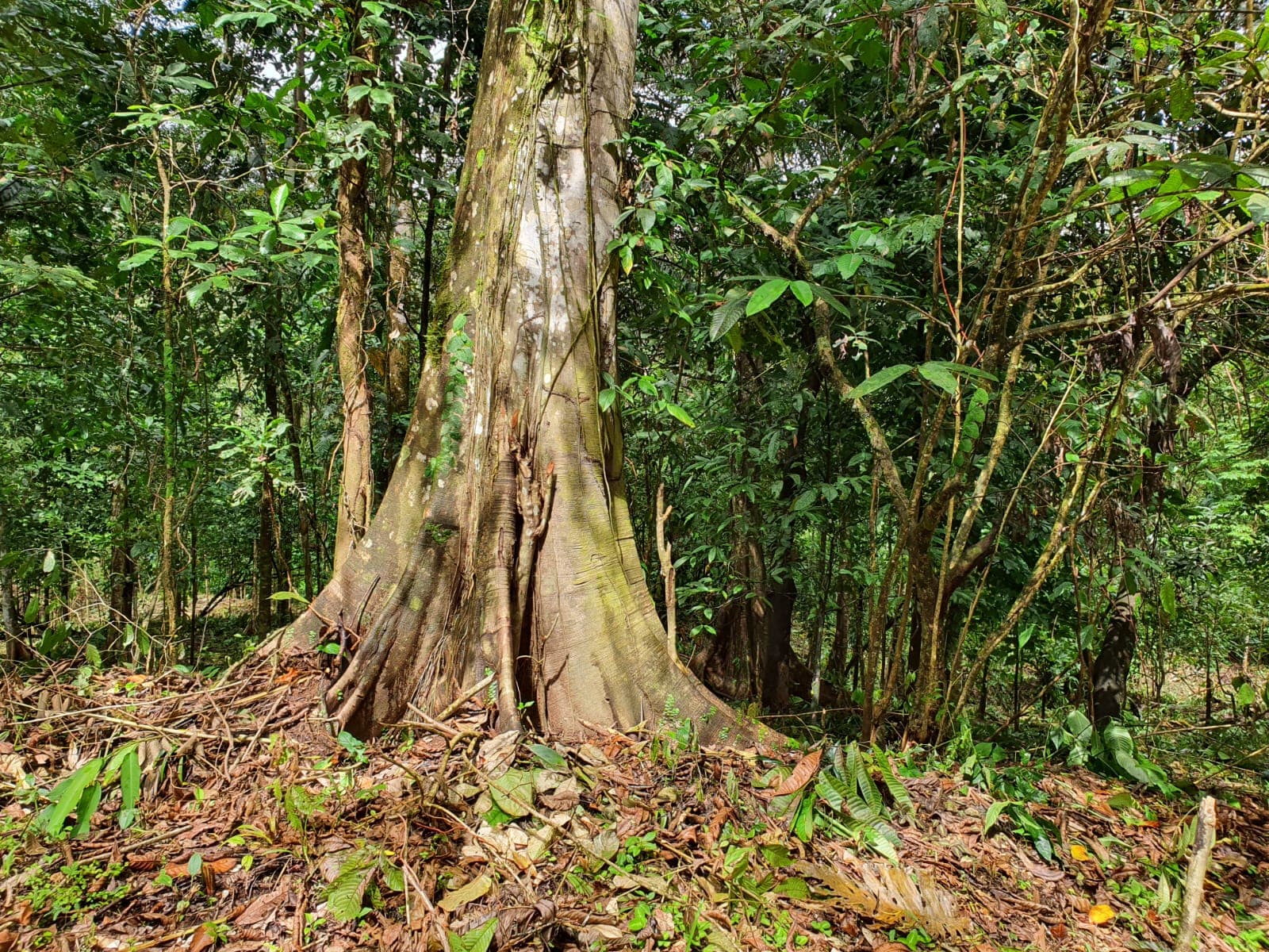 bd7596de-4e93-4743-8f06-324a2bf7627a-min