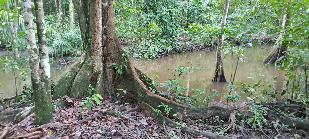 c9cf6ffb-ede2-476a-a633-ab87fb76fafb-min