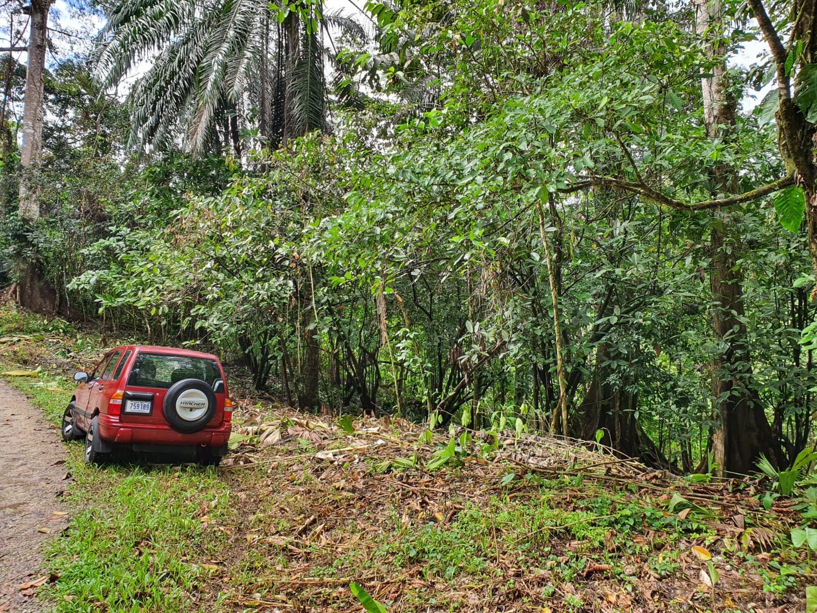 cdc4212c-cc29-42be-a2a5-0f47e7be2272-min