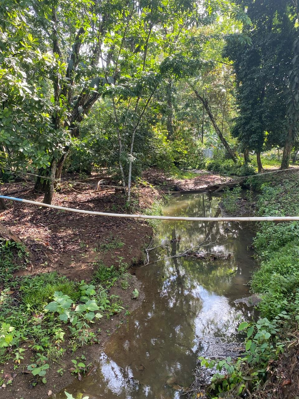 eadf4be6-eacf-48cd-a499-a13d2526f000-min