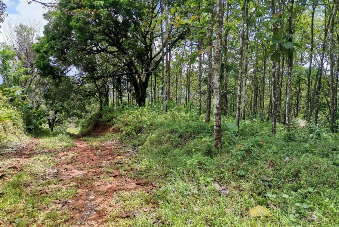 ef2d2e8d-87f3-452a-84e9-f3cffb5a950e-min