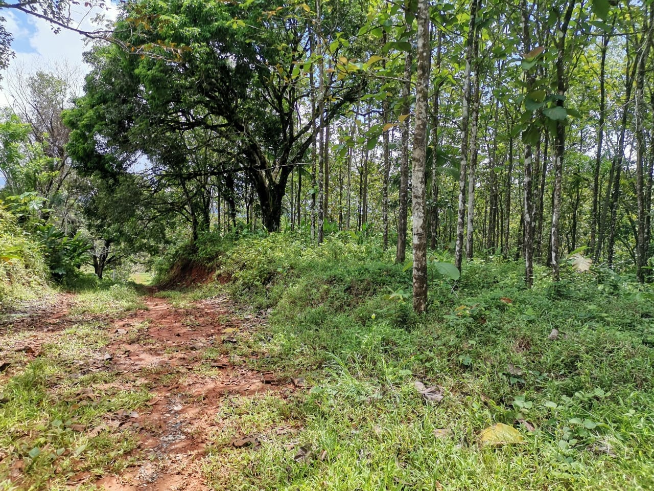 ef2d2e8d-87f3-452a-84e9-f3cffb5a950e-min