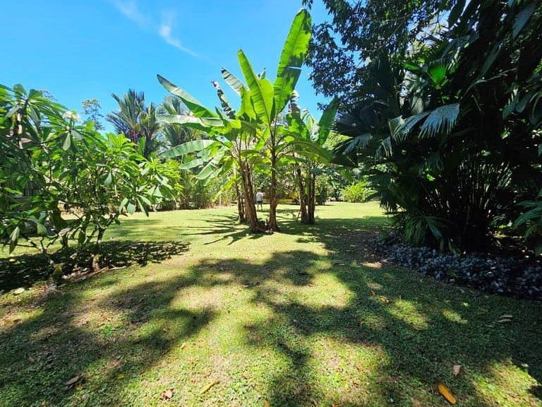 efce075cd02f541b59d836e9cc780bf6-min