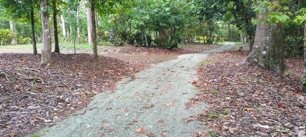 f89ed9fa-8413-4055-a6c0-fa661db2ca27-min