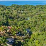 image_123650291-1-min