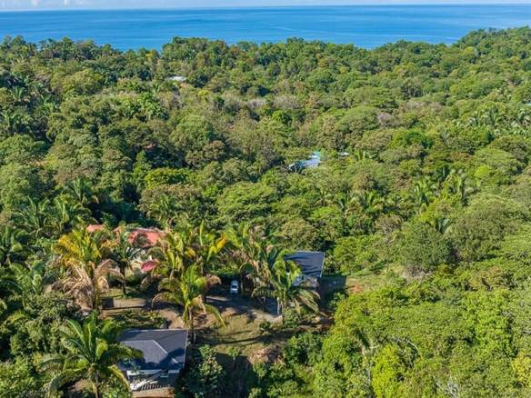 image_123650291-1-min