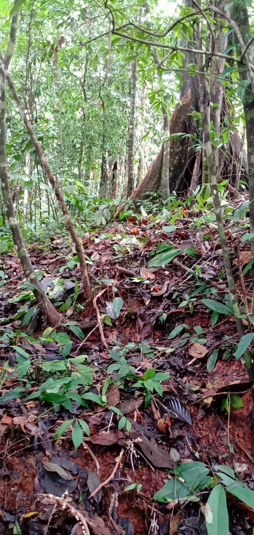 0322bc0a-2612-4cfa-8581-cd97b29f9501-min