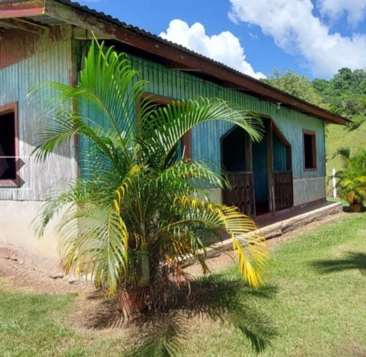 104f87c9-7097-4416-982f-76a99359cc74-min