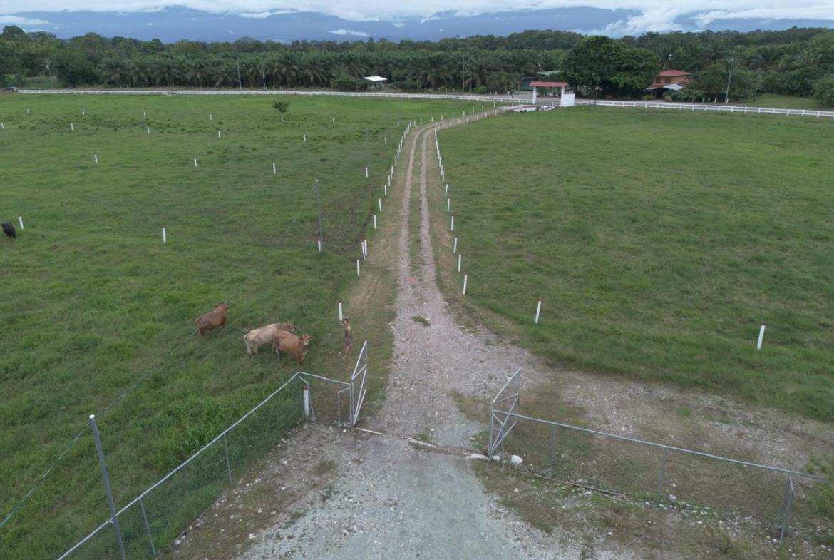 Farm in Costa Rica