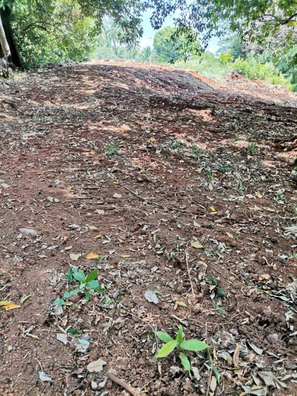 11fa9bd0-820b-4126-971b-7d91610d4bed-min