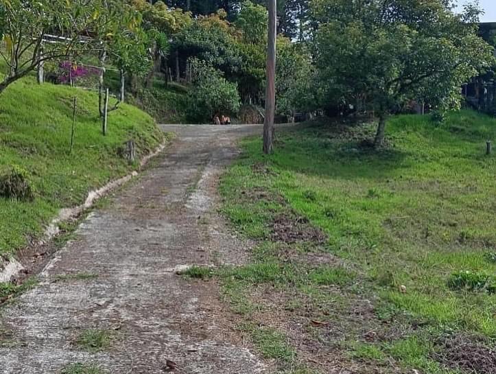 188add65-e2f6-45dd-b560-f4b470129847-min