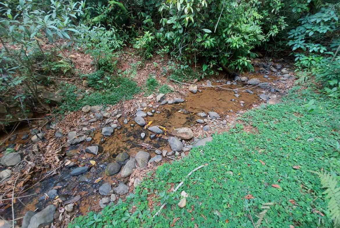 20210215_153619-scaled-min