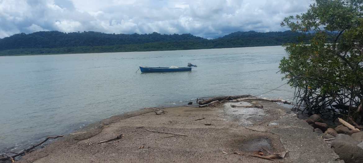 2b736dad-f98b-46f2-94e2-6fd1daefc8e3-min