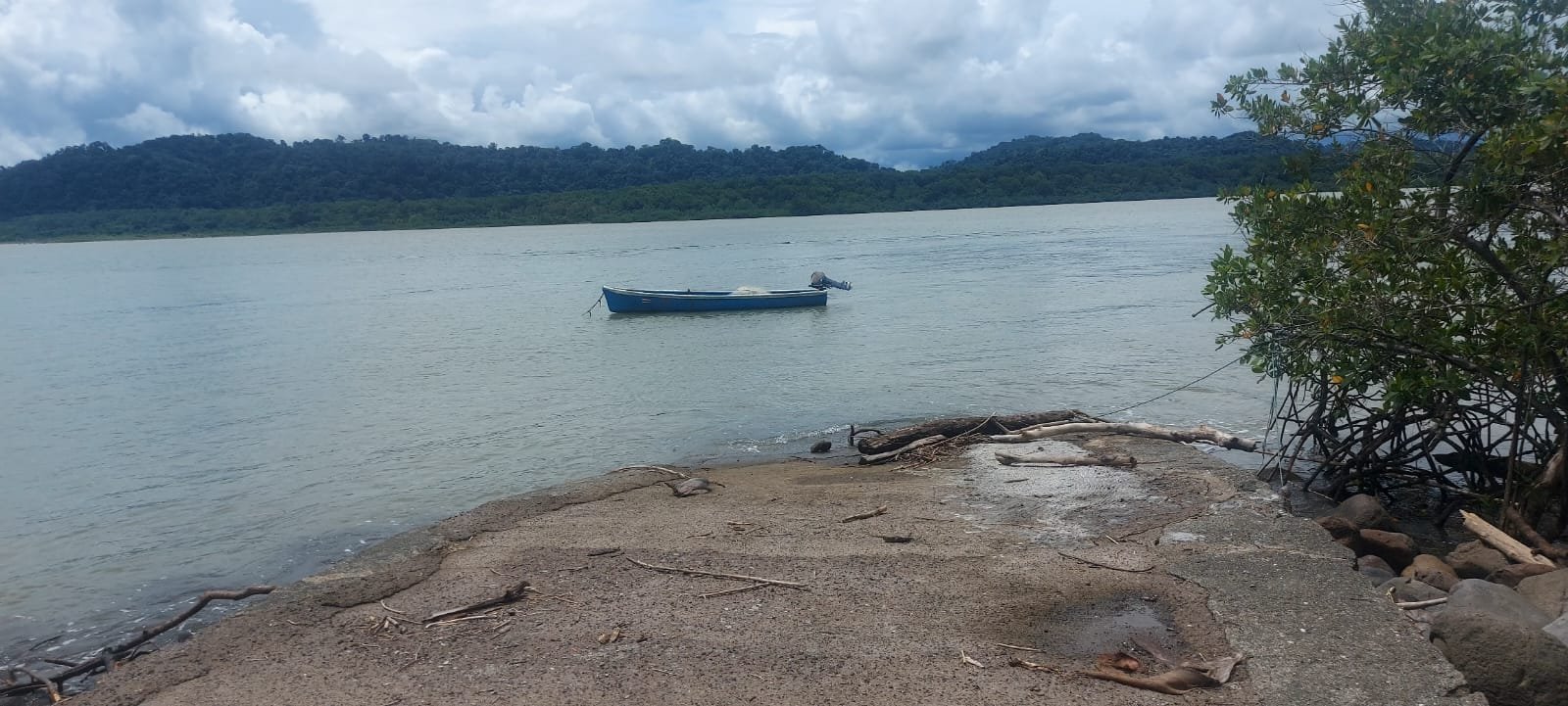 2b736dad-f98b-46f2-94e2-6fd1daefc8e3-min