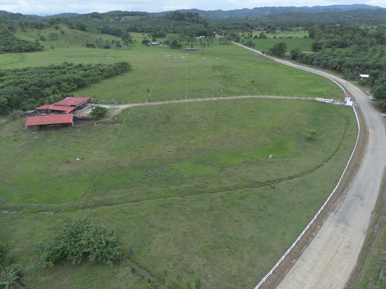 Farm in Costa Rica
