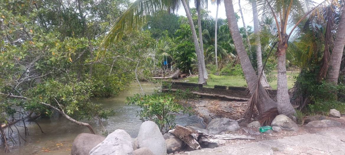 2e6b6ba5-6c21-4101-a195-7beffc487cc4-min