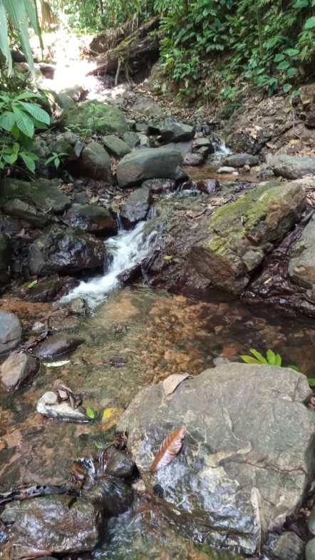 31b4eaaa-3096-4202-b2b7-9c3348fd1e45-min