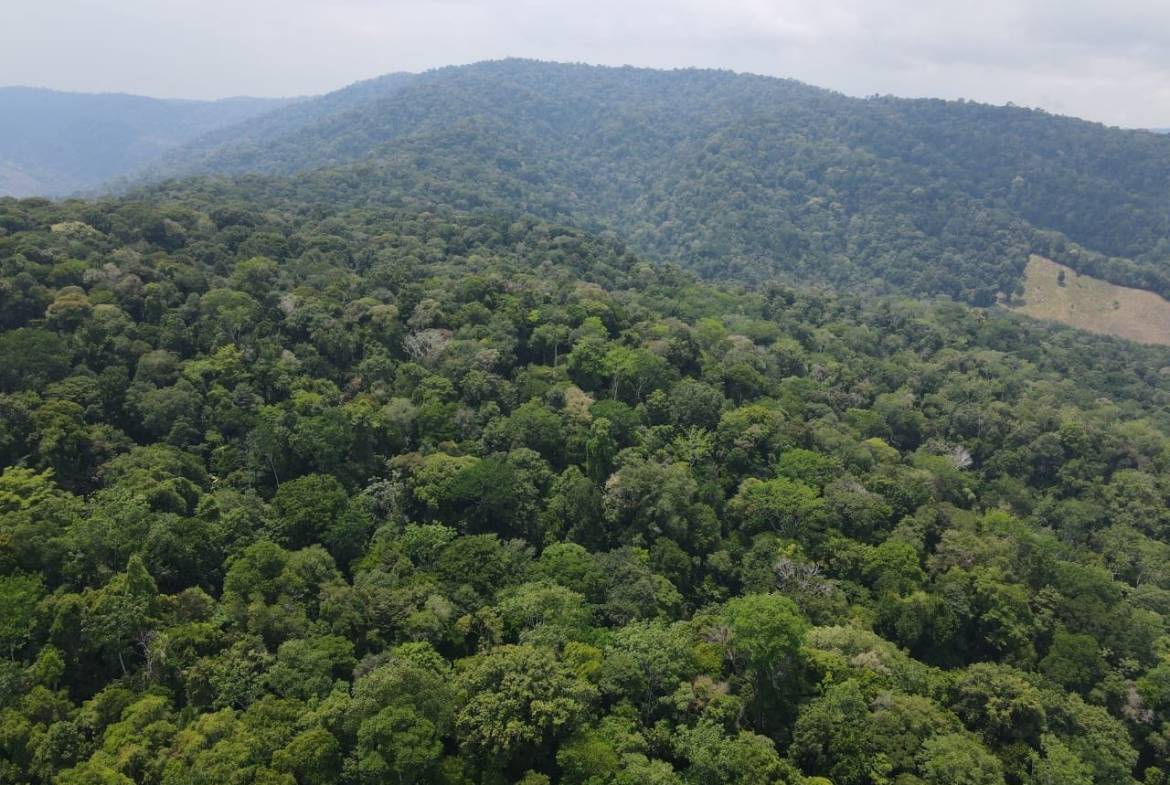 3956c54b-fe31-421e-82fc-11e2da46a9b8-min