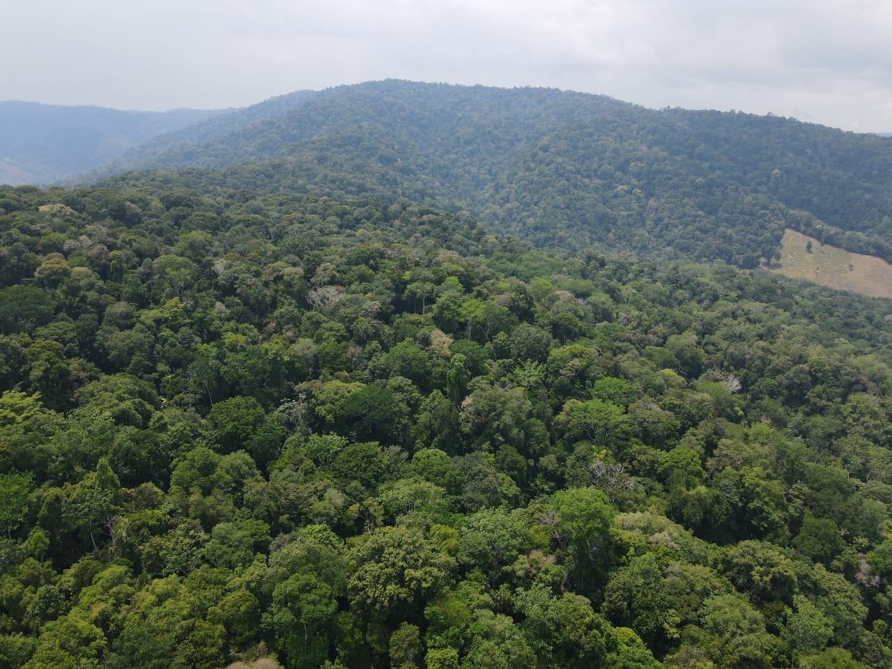 3956c54b-fe31-421e-82fc-11e2da46a9b8-min