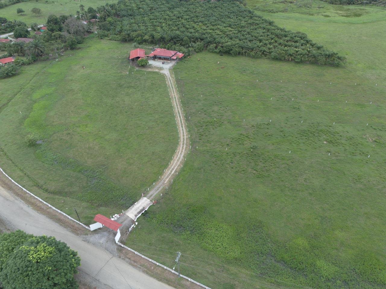 Farm in Costa Rica