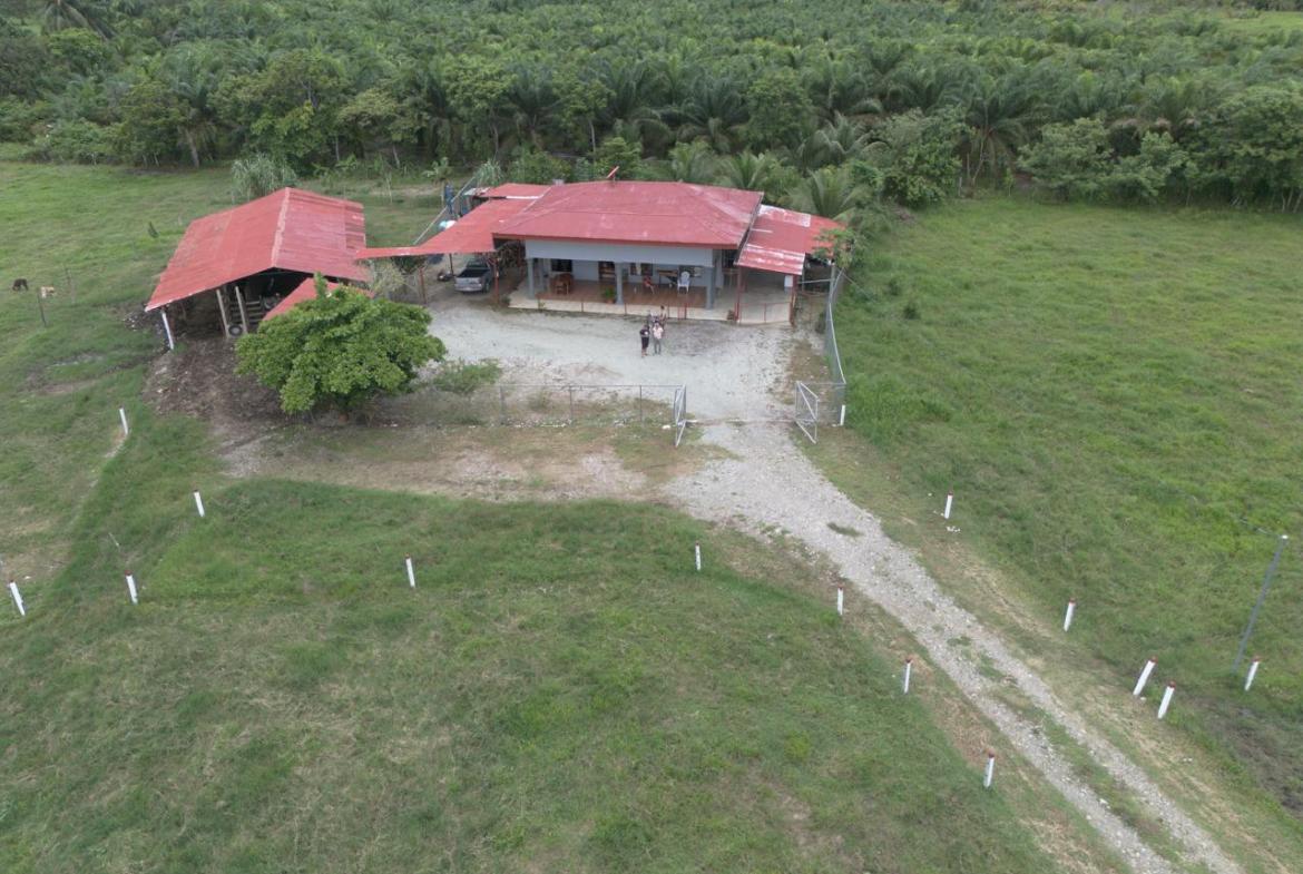 Farm in Costa Rica