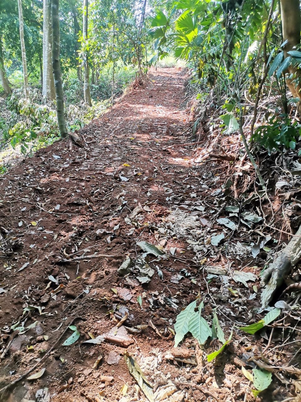 554c4de6-ca7b-4159-969a-f6958873d31b-min