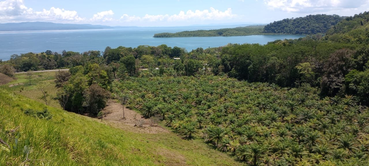 5ebe97ad-95be-4234-b926-2718d139a7cb-min